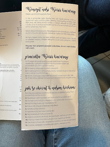 Opinii despre Kočičí kavárna în Plzeň - Gastronomie a pohostinství