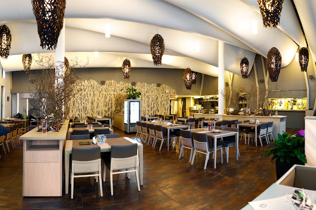 Restaurace Hnízdo - Gastronomie a pohostinství