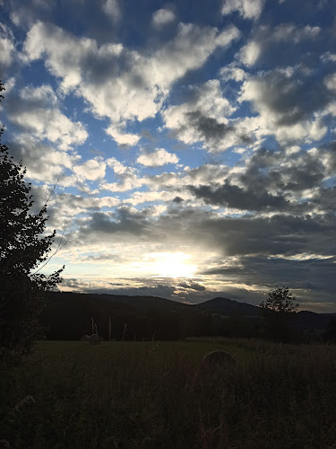 Opinii despre Hospoda u Čerta în Plzeň - Gastronomie a pohostinství