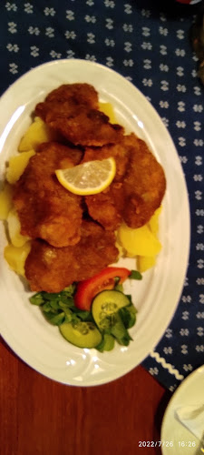 Comentarii opinii despre Motorest U Pelikána