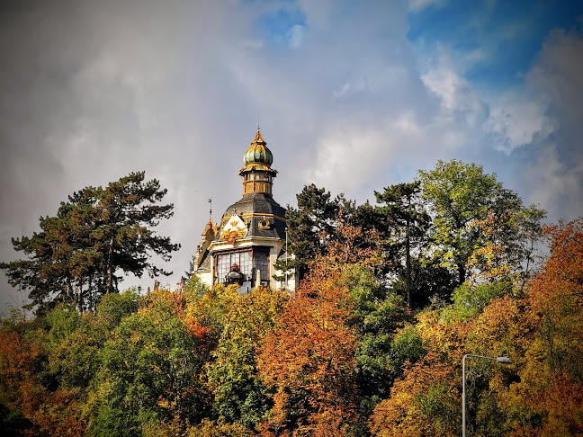 Letenské sady 173, 170 00 Praha 7-Letná