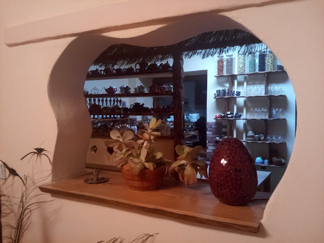 Čajka - čajovna + kavárna - Gastronomie a pohostinství