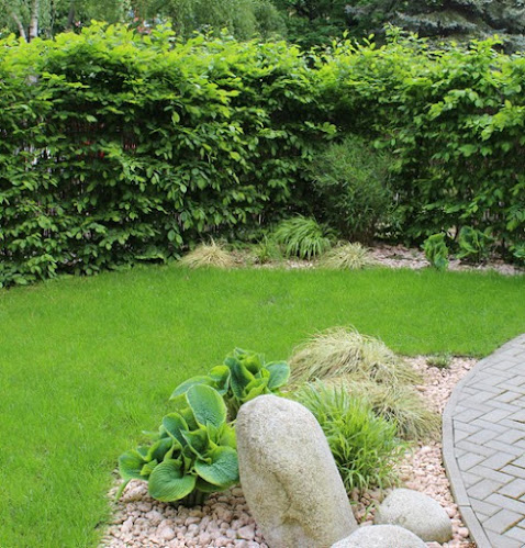 Čajovna Harmonie - Opava