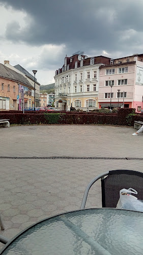 Comentarii opinii despre Milan Drugda