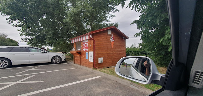 Comentarii opinii despre ICE BROTHERS