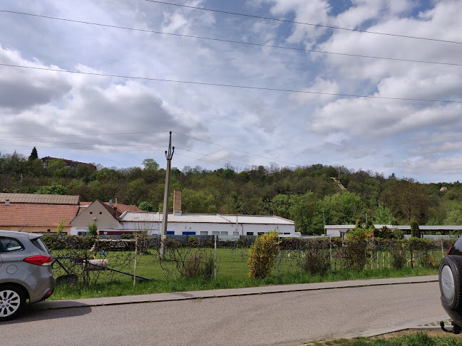 Opinii despre Psí škola na Ostrově Brno în Brno - Gastronomie a pohostinství