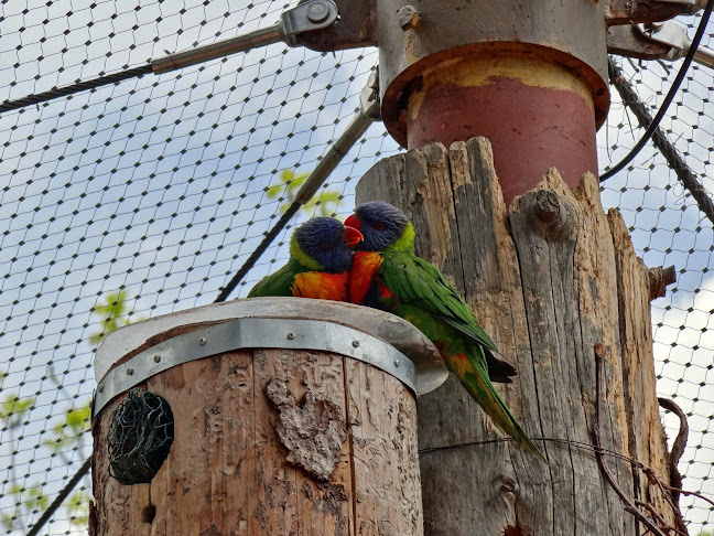 Comentarii opinii despre Občerstvení U Supa