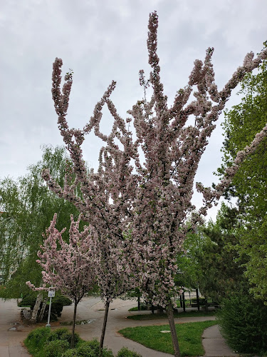 Opinii despre Cafe Zahrada în Praha - Gastronomie a pohostinství