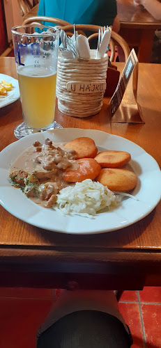 Opinii despre Restaurace a penzion U Hájků în Ústí nad Labem - Gastronomie a pohostinství