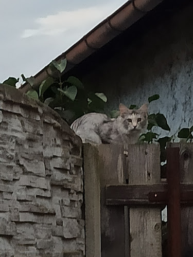 Chloumecká, 276 01 Mělník 1-Chloumek