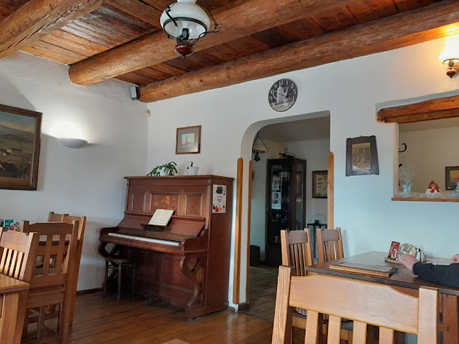 Opinii despre Brusova restaurace în Mohelnice - Gastronomie a pohostinství