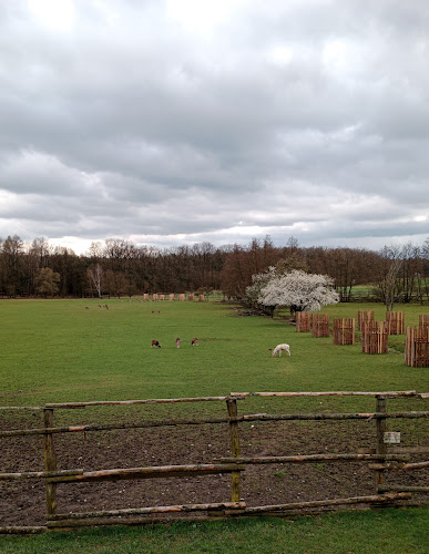 K Zámečku 212, 533 21 Vysoké Chvojno