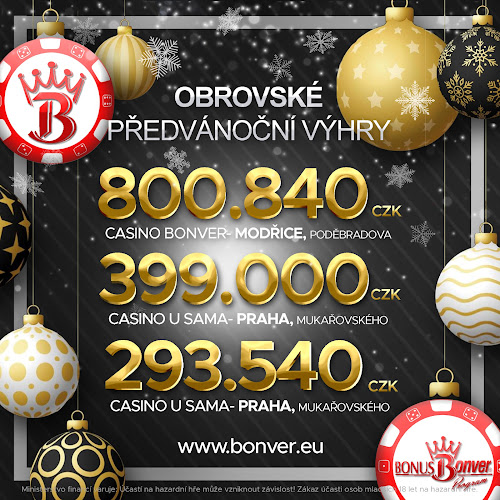 4, U Lesa 763, 734 01 Karviná