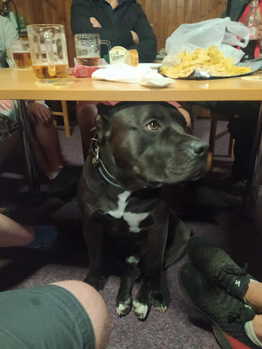 Dlouhá, 439 23 Lenešice