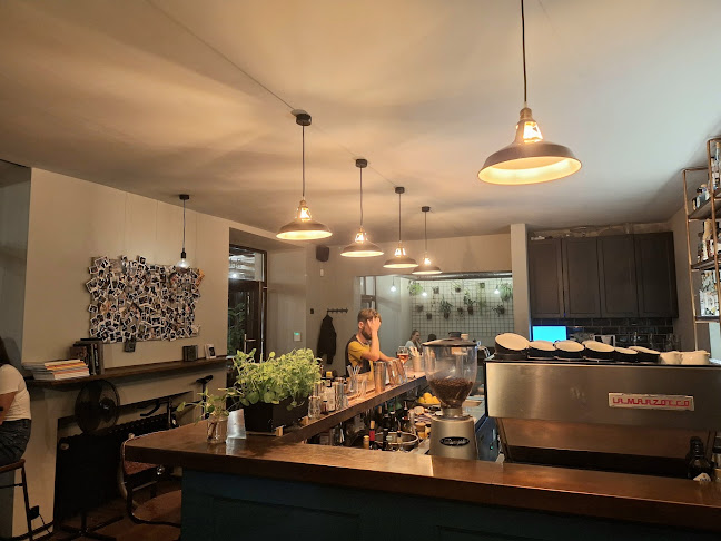 Opinii despre Botanic Bar & Bistro în Brno - Gastronomie a pohostinství