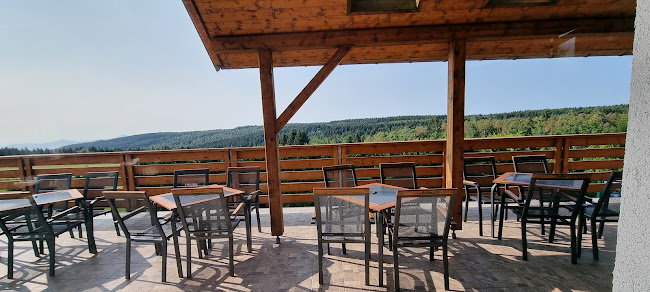 Opinii despre Hotel a restaurace Krušnohorský Dvůr în Dubí - Gastronomie a pohostinství