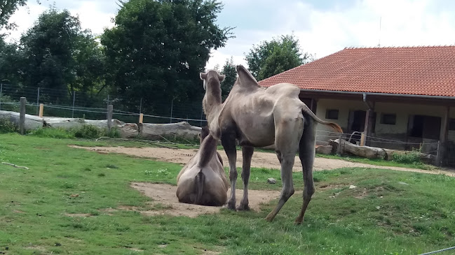 Palánek 221/56, 682 01 Vyškov 1-Brňany