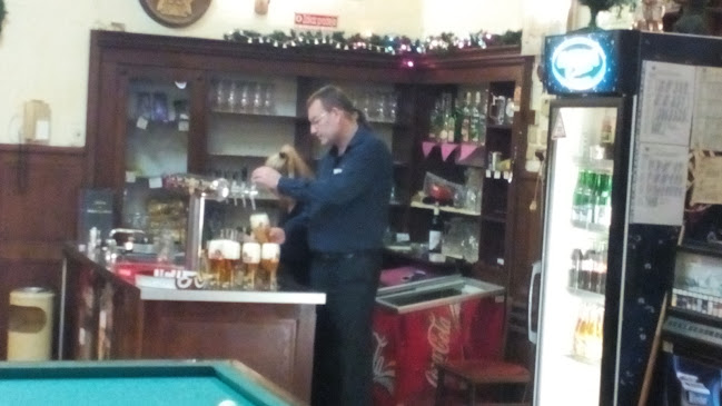 Comentarii opinii despre RESTAURACE U ZLATÉHO LVA