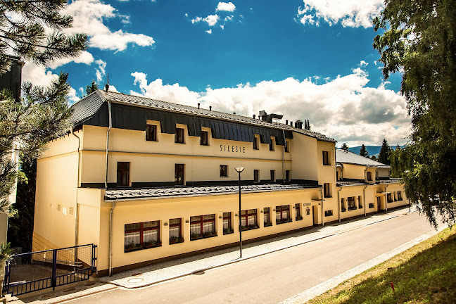 Opinii despre Restaurace Silesie în Jeseník - Gastronomie a pohostinství