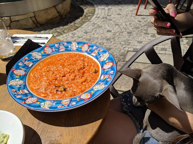 Opinii despre L'Osteria - Národní în Nové Město - Gastronomie a pohostinství