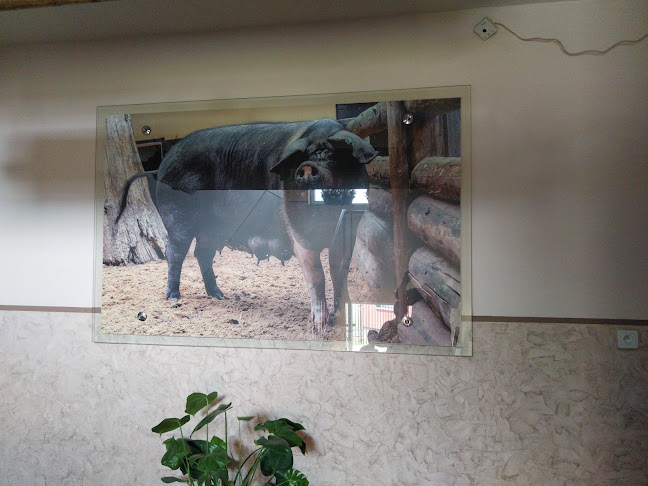 Restaurace Přeštická svině - Přeštice