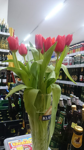 Opinii despre Černý orel în Brno - Gastronomie a pohostinství