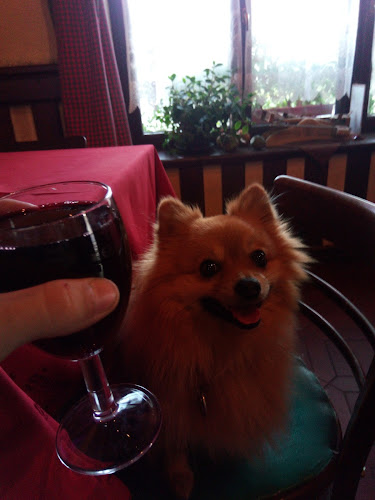 Dr. Kachníka, 687 51 Nivnice