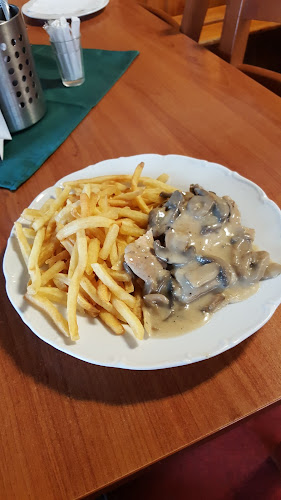 Kamenického 84/15, 360 04 Karlovy Vary 4-Bohatice