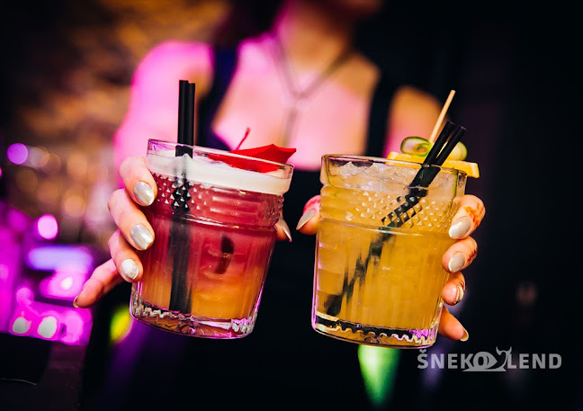 ŠNEKOLEND MUSIC & COCKTAIL BAR s ubytováním