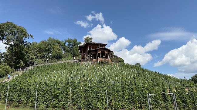 Viniční altán - Gastronomie a pohostinství