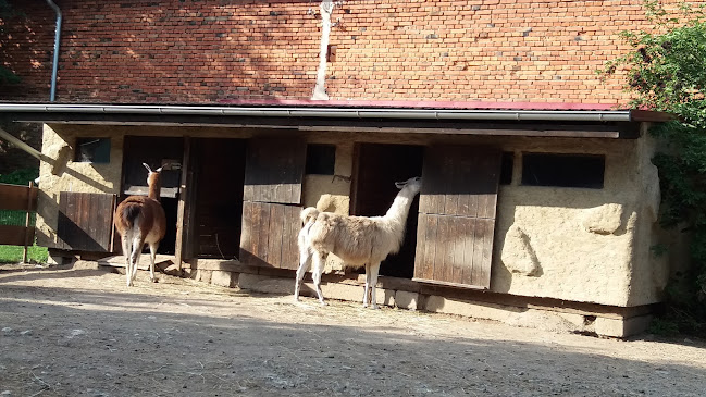 Bistro U statku - Gastronomie a pohostinství