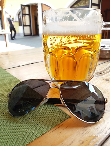 Opinii despre Restaurace / Penzion - Selský dvůr în Karlovy Vary - Gastronomie a pohostinství