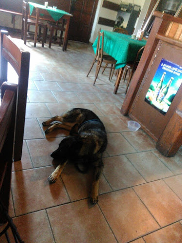 Hospoda U Bayera - Gastronomie a pohostinství