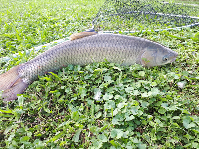 Přímská 364, 500 09 Hradec Králové 9-Malšovice