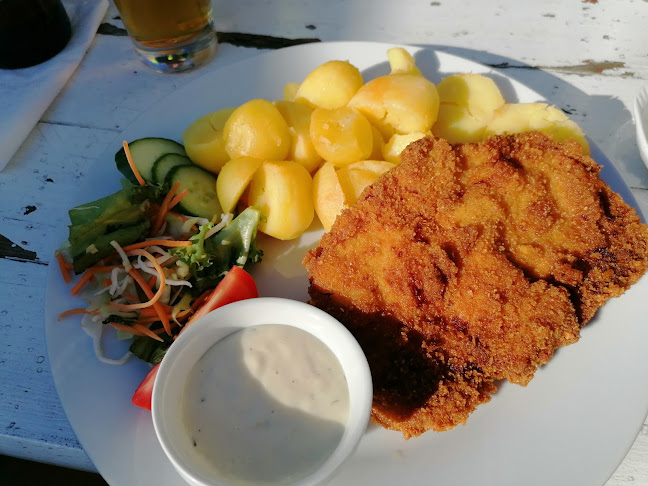 Pizzeria Restaurant Zlatý Bažant - Králíky