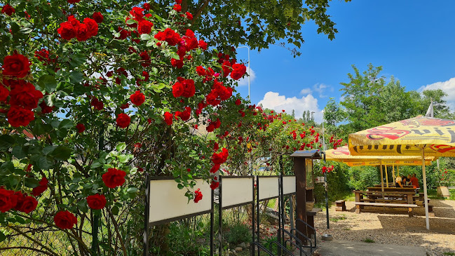 Podbabská 995, 160 00 Praha 6-Bubeneč