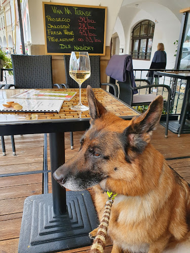 Čau Víno vinotéka a e-shop - Gastronomie a pohostinství