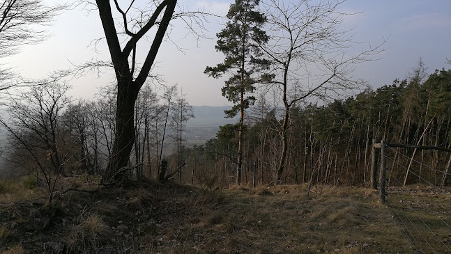 Koliba - Gastronomie a pohostinství