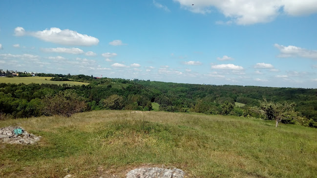 Opinii despre Restaurace Jenerálka în Praha - Gastronomie a pohostinství