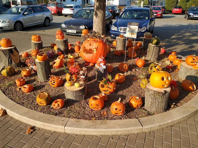 Restaurace pizza Borsa