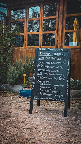 Comentarii opinii despre Penzion & Café "Na Zámečku 1609"