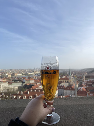 Comentarii opinii despre Lobkowicz Palace Restaurant & Café