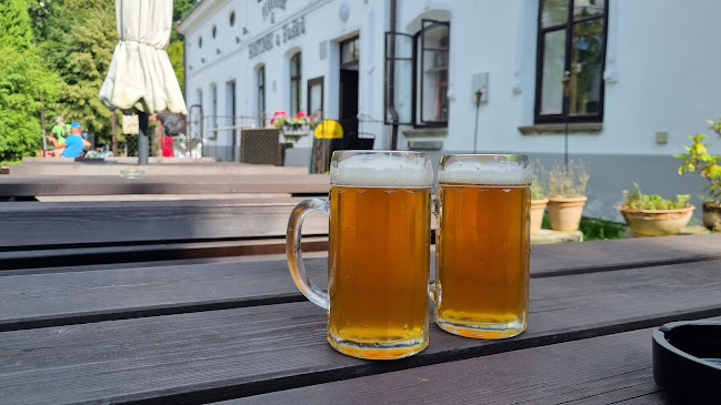 Pivovar U Hušků - Gastronomie a pohostinství