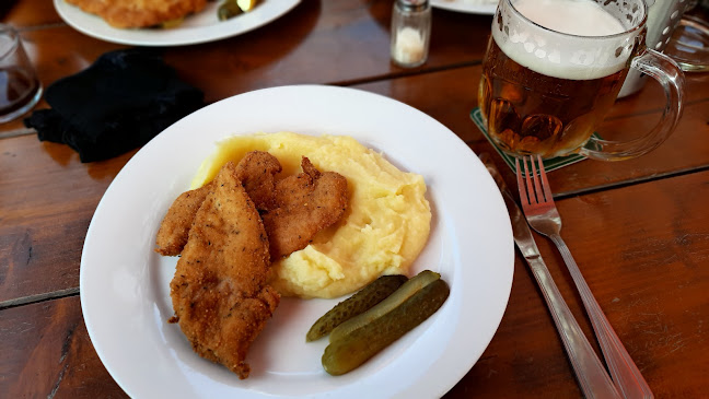 Comentarii opinii despre Restaurace U Čámrse