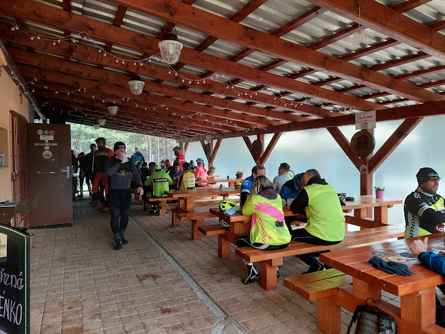 V Borku 138, 517 22 Albrechtice nad Orlicí