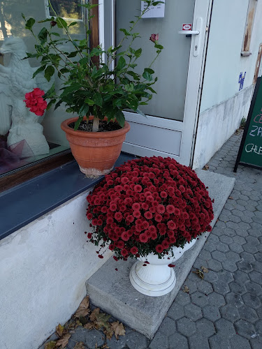 COMEL CAFE - Gastronomie a pohostinství