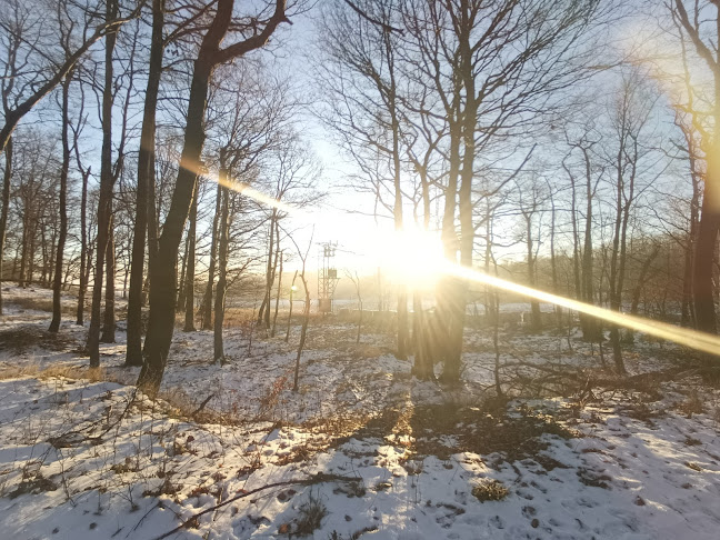 Opinii despre Restaurant City în Jirkov - Gastronomie a pohostinství