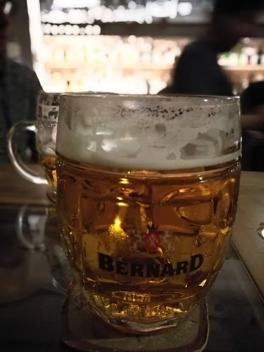 Lucemburská 1492/11, 130 00 Vinohrady