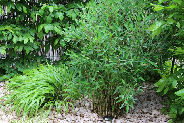 Krnovská 20, 746 01 Opava 1