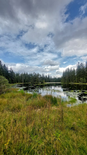Restaurace a pension U Tetřeva - Kladská